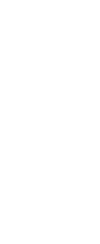 NBS Logo